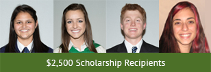 Scholars-Homepage-by-Amount2500